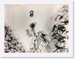 楊子霆 * 968 x 726 * (704KB)